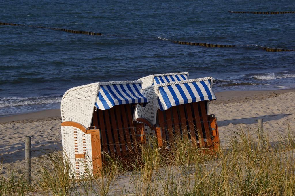 דירות ברגן Urlaub Auf Der Insel Ruegen מראה חיצוני תמונה